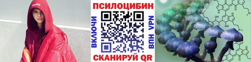 ОМГ ОМГ как зайти  Приозерск  Галлюциногенные грибы Psilocybine cubensis  купить наркоту 